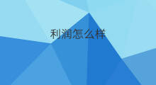 利润怎么样 网店利润怎么样
