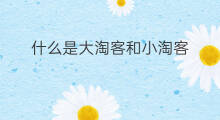 什么是大淘客和小淘客 什么是大淘客什么是小淘客