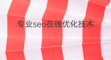 专业seo在线优化技术 seo技术优化