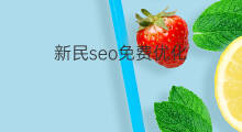 新民seo免费优化 新民seo优化排名