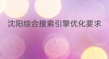 沈阳综合搜索引擎优化要求 沈阳搜索引擎优化