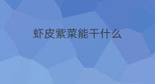 虾皮紫菜能干什么 赚钱能干什么