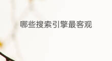 哪些搜索引擎最客观 哪个搜索引擎最火爆