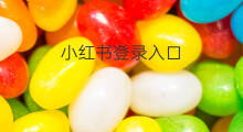 小红书登录入口 chatgpt登录入口