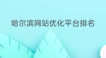 哈尔滨网站优化平台排名 哈尔滨seo网站优化排名