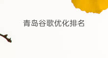 青岛谷歌优化排名 青岛seo排名如何优化