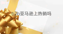 b2b亚马逊上热销吗 亚马逊是b2b吗