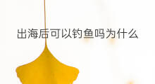 出海后可以钓鱼吗为什么 出海钓鱼吗