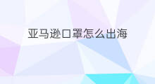 亚马逊口罩怎么出海 欧洲亚马逊出海口在哪