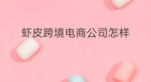虾皮跨境电商公司怎样 虾皮跨境电商公司怎样注册