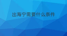出海宁需要什么条件 出海宁需要什么材料