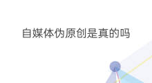 自媒体伪原创是真的吗 自媒体如何伪原创