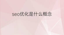 seo优化是什么概念 SEO优化的概念