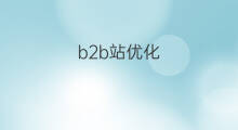 b2b站优化 优化b2b服务
