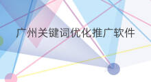 广州关键词优化推广软件 广州seo优化推广关键词