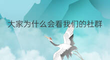 大家为什么会看我们的社群 快手为什么不会看