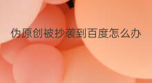 伪原创被抄袭到百度怎么办 伪原创百度不收录怎么办