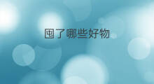 囤了哪些好物 好物推荐主要包括哪些好物