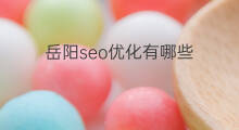 岳阳seo优化有哪些 岳阳seo优化厂商
