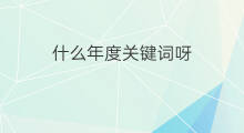 什么年度关键词呀 年度关键词如何生成