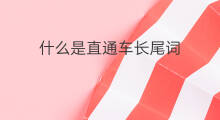 什么是直通车长尾词 什么是京东直通车