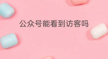 公众号能看到访客吗 公众号文章可以看到访客ip吗