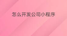 怎么开发公司小程序 小程序开发公司哪里好