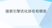 搜索引擎优化排名有哪些 搜索引擎排名公司有哪些