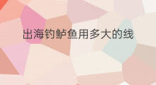 出海钓鲈鱼用多大的线 出海钓鱼沉底怎么绑线