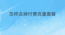 怎样去掉付费流量套餐 快手怎样取消流量套餐