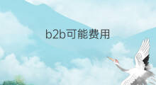 b2b可能费用 阿里b2b费用