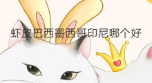 虾皮巴西墨西哥印尼哪个好 虾皮墨西哥站点卖什么好