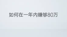 如何在一年内赚够80万 如何在一年内赚够10万块