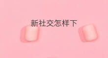 新社交怎样下 怎样社交