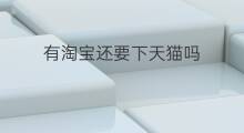 有淘宝还要下天猫吗 天猫属于淘宝吗