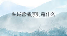 私域营销原则是什么 私域电商营销是什么
