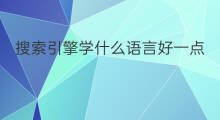 搜索引擎学什么语言好一点 搜索引擎学什么语言好