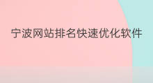 宁波网站排名快速优化软件 宁波网站优化平台排名
