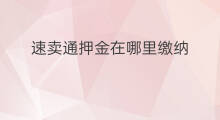 速卖通押金在哪里缴纳 速卖通押金怎么查看