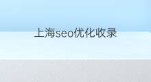 上海seo优化收录 上海seo推广优化
