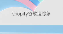 shopify谷歌追踪怎么设置 shopify客户怎么追踪订单