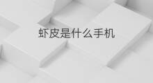 虾皮是什么手机 手机壳泰国虾皮是什么
