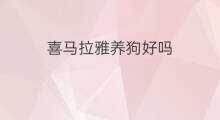喜马拉雅养狗好吗 喜马拉雅养账号方法