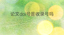 论文doi号是收录号吗 论文收录会有doi吗