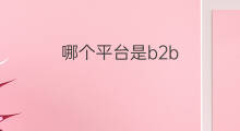 哪个平台是b2b b2b哪个平台权重最高