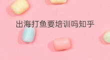 出海打鱼要培训吗知乎 怎样出海打鱼