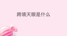 跨境天眼是什么 怎么开通快手天眼