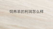 饲养羊的利润怎么样 饲养兔子利润怎么样