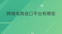 跨境电商进口平台有哪些 进口电商跨境平台有哪些