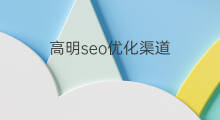 高明seo优化渠道 高明seo优化教程